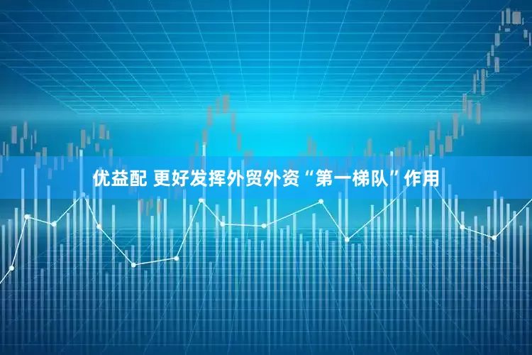 优益配 更好发挥外贸外资“第一梯队”作用