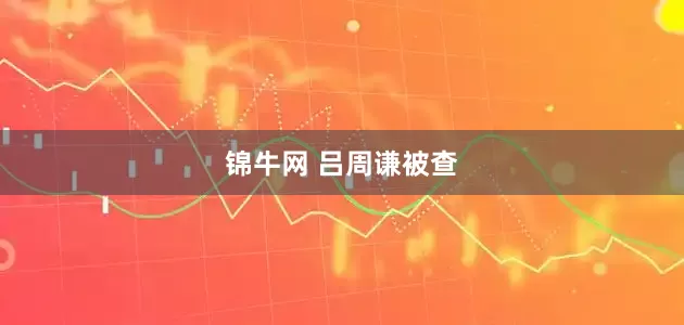 锦牛网 吕周谦被查